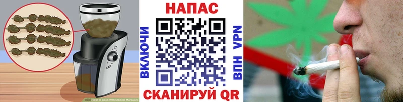 Купить где  Биробиджан  Canna-Cookies конопля 