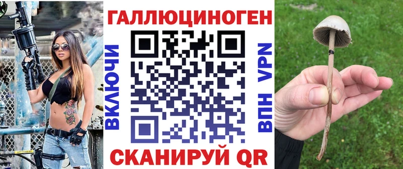 Купить закладки  Биробиджан  Псилоцибиновые грибы Psilocybe 